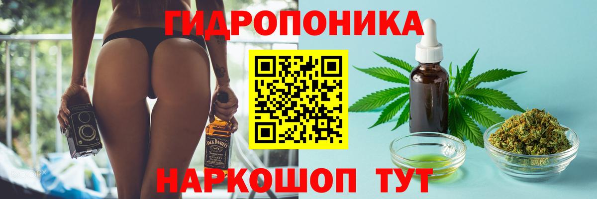 Шишки марихуана план  Вход с VPN  Канабис тримм  Черняховск  Бошки марихуана Ganja 